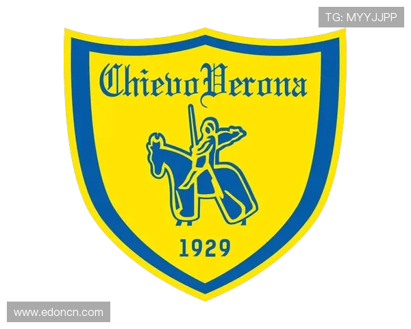 维罗纳足球俱乐部历史辉煌与未来发展展望 维罗纳足球俱乐部历史辉煌与未来发展展望